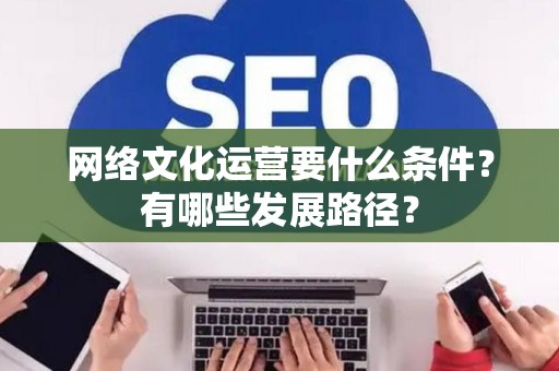 网络文化运营要什么条件？有哪些发展路径？